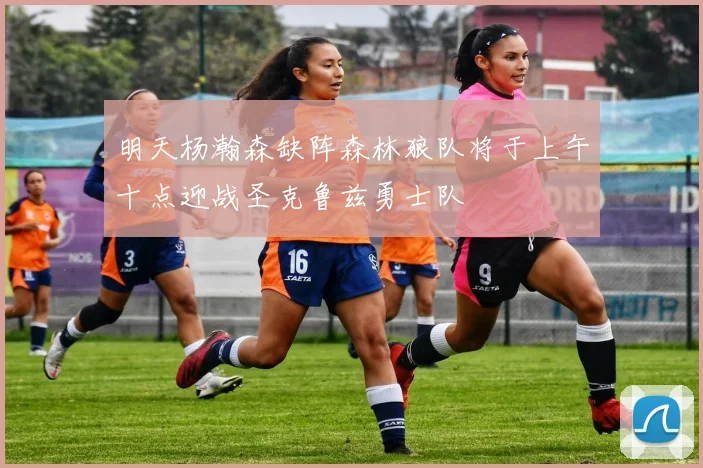 明天杨瀚森缺阵森林狼队将于上午十点迎战圣克鲁兹勇士队