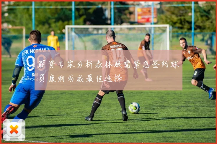 薪资专家分析森林狼需紧急签约球员康利或成最佳选择