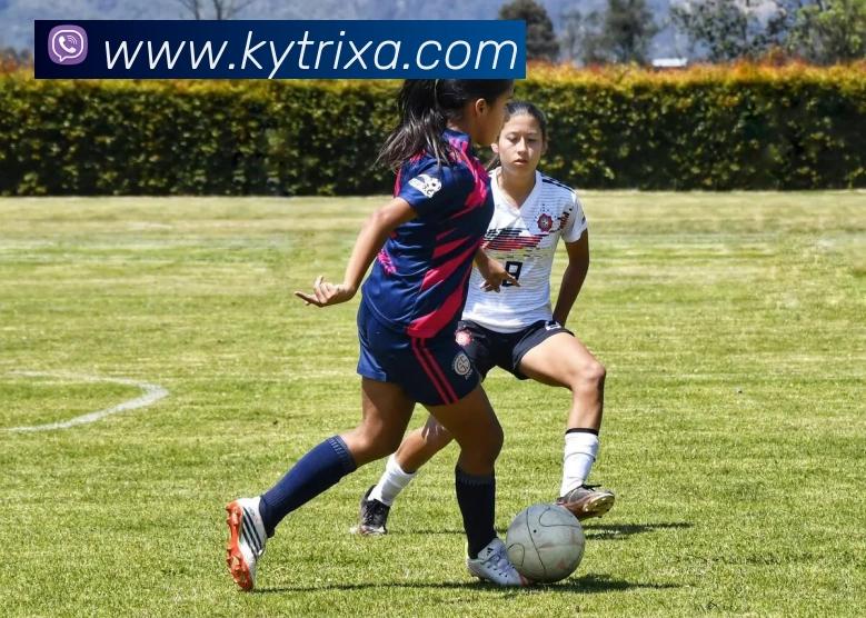 KY体育服务体系